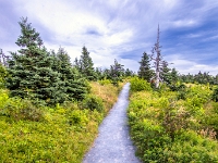 Skyline Trail, Cape Breton Highlands National Park